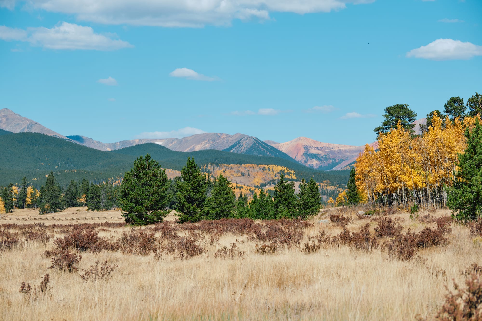 Using a Honeypot to Capture TeamTNT Activity