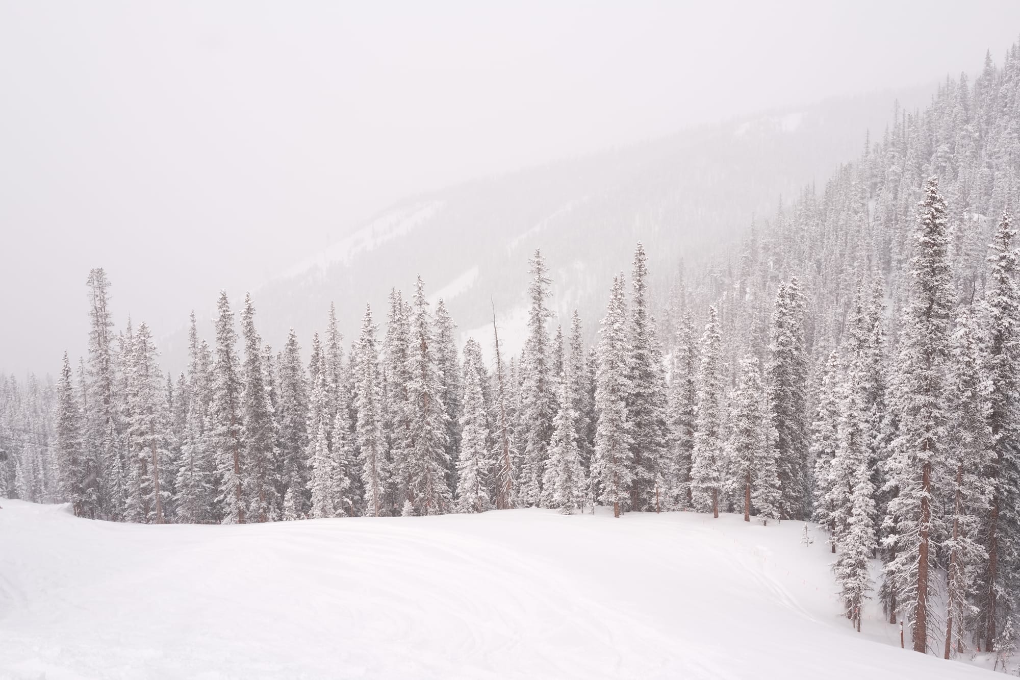 Hunting for EDR-Freeze