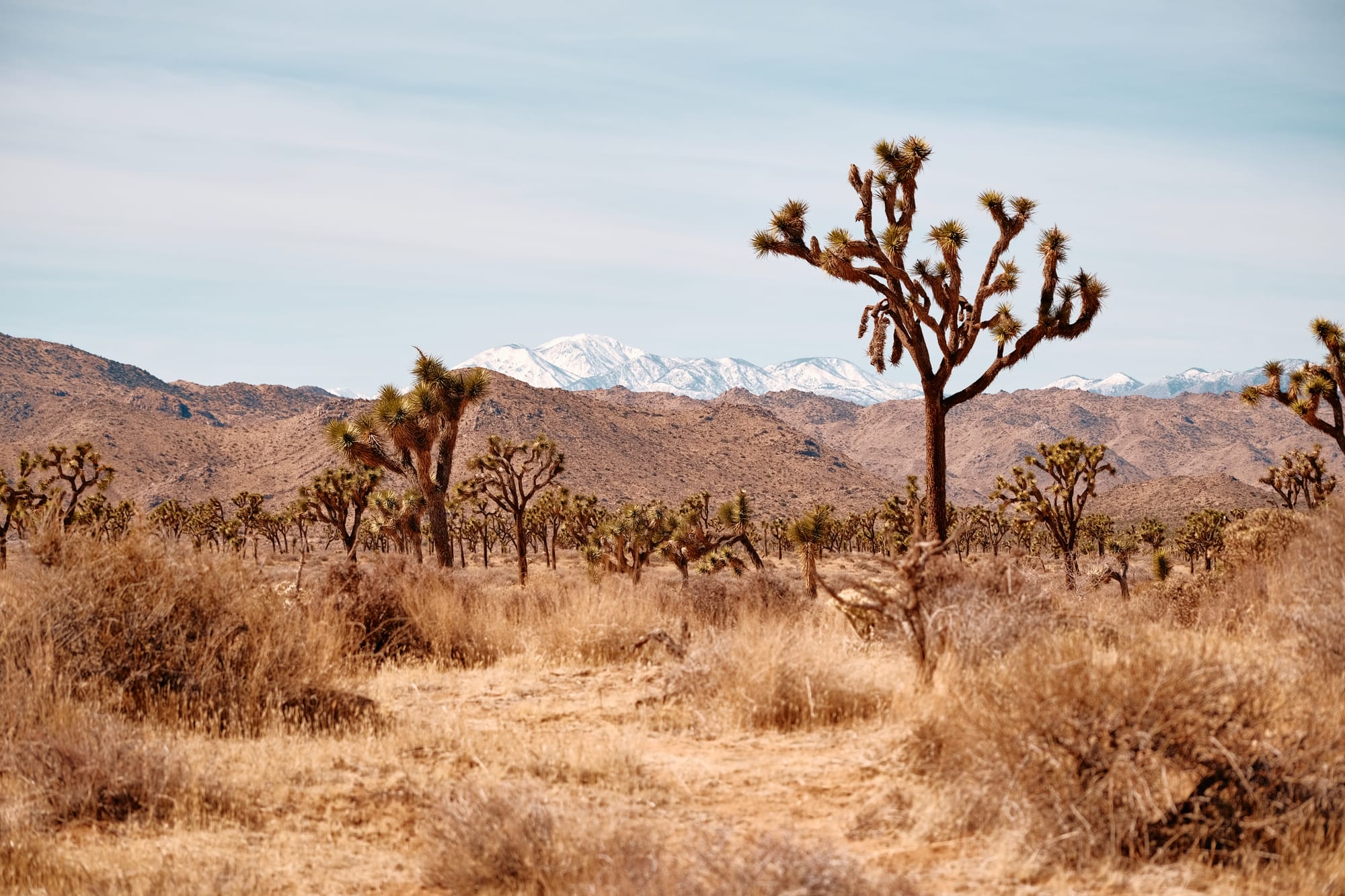 The A in CTI Stands for Actionable