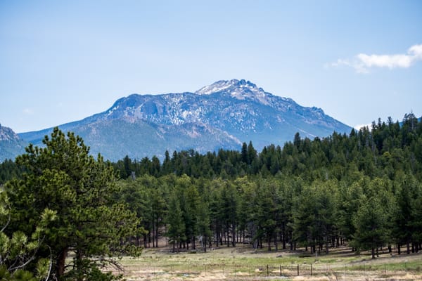 Exploring the Mozi Botnet Network