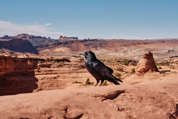 Close Those Ports: Exploring Splashtop RMM and Relays